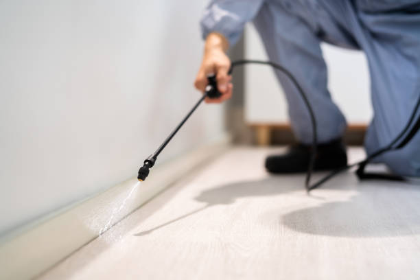 Licensed Termite Control service in Mercer County County, MO - Nex Pest Control