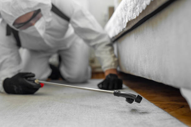 Professional Termite Control technician working in Mercer County County, MO